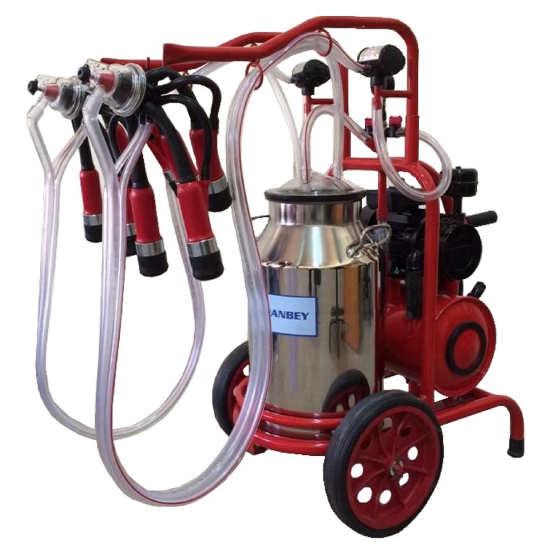 Çırpanbey Paslanmaz Bir Güğümlü Çift Süt Sağım Makinesi