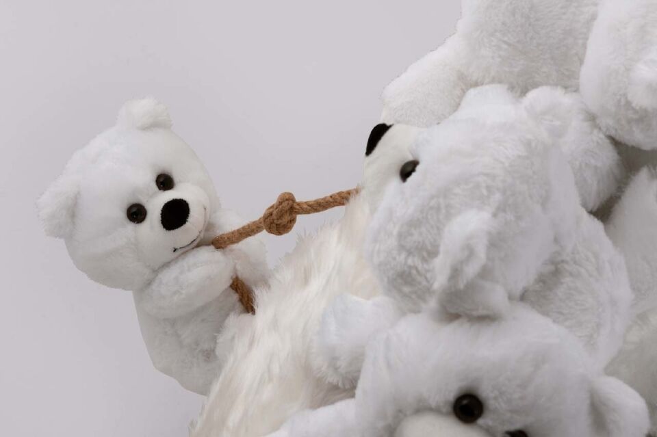 Miss Worble Teddy Bears Pofuduk Berjer Koltuk